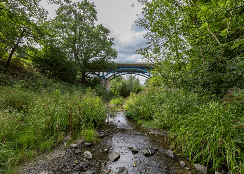 Der Borbecker Mühlenbach mit grünem Ufer und einer Brücke