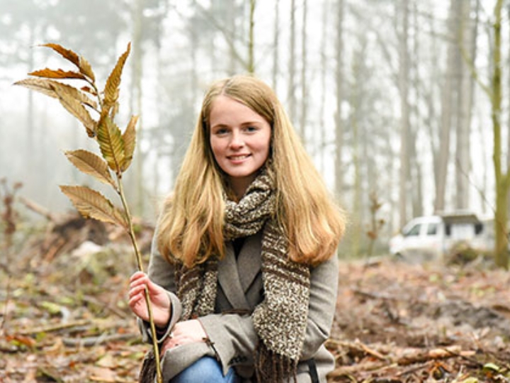 Eine junge Frau sitzt auf einem herbstlichen Waldboden und hält einen Ast mit Blättern in der Hand.