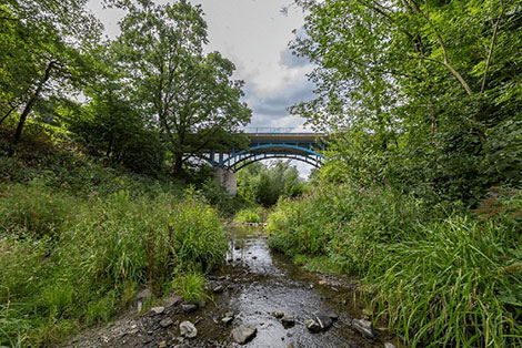 Der Borbecker Mühlenbach mit grünem Ufer und einer Brücke