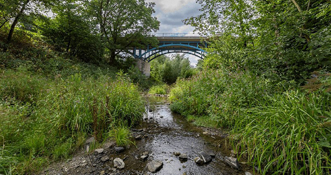 Der Borbecker Mühlenbach mit grünem Ufer und einer Brücke