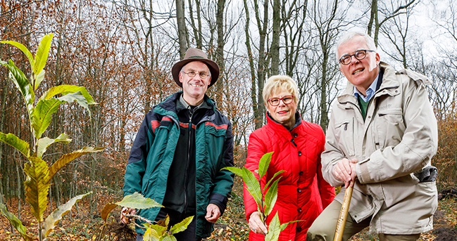 Dietrich Suhlrie, Vorstandsmitglied der NRW.BANK, mit pflanzt mit einer Frau und einem Mann einen Baum im Wald.