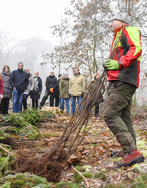 Mehrere Menschen in einem herbstlichen Wald. Ein Mann erklärt, wie Bäume eingepflanzt werden.