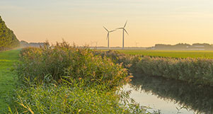 Windräder hinter einem Wassergraben mit Schilf bei Sonnenaufgang.