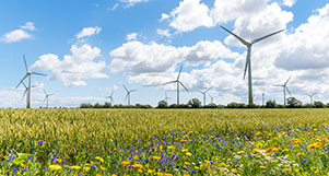 Eine bunte Blumenwiese vor Windrädern und blauem Himmel