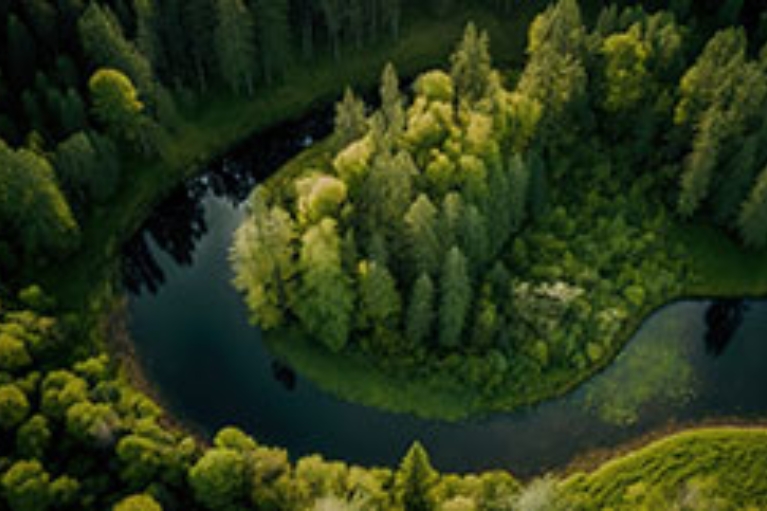 Luftaufnahme einer Flussschleife mit dichtem Wald.