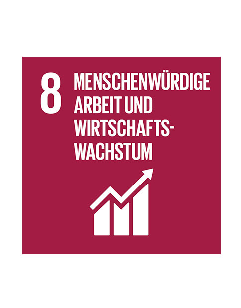 Ziel 8: Menschenwürdige Arbeit und Wirtschaftswachstum