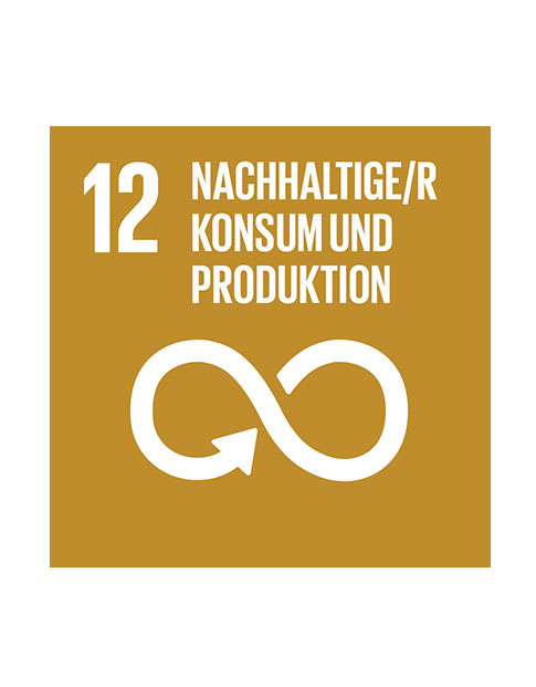 Ziel 12: Nachhaltige/r Konsum und Produktion