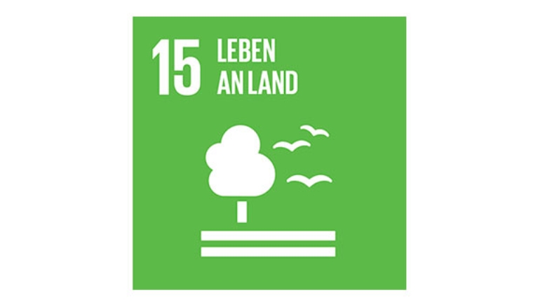 Ziel 15: Leben an Land