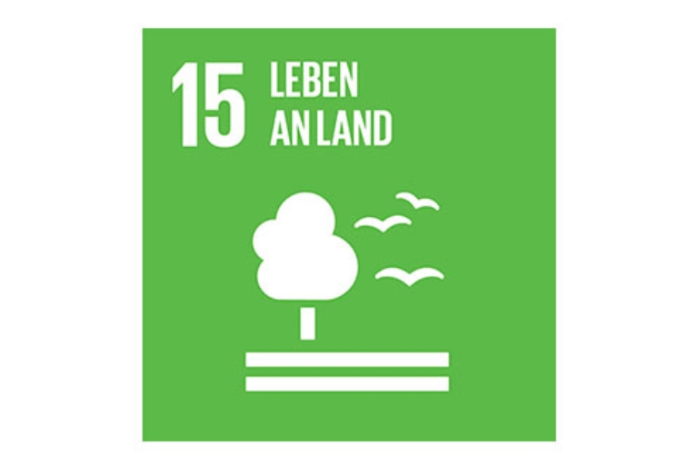Ziel 15: Leben an Land
