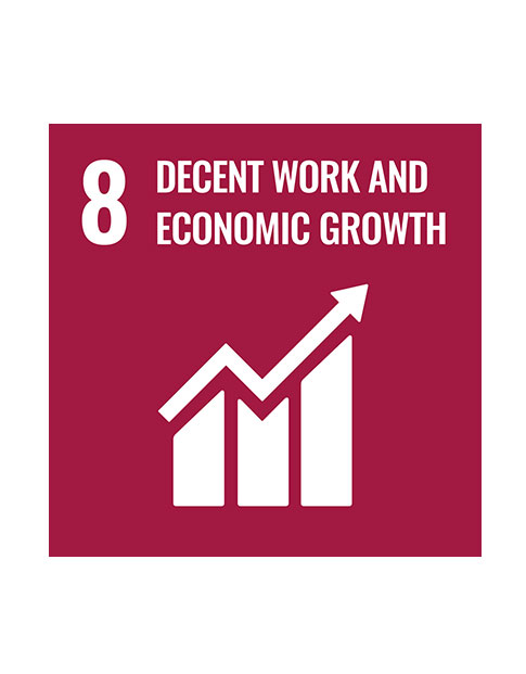 Goal 8: Decent work and economic growth