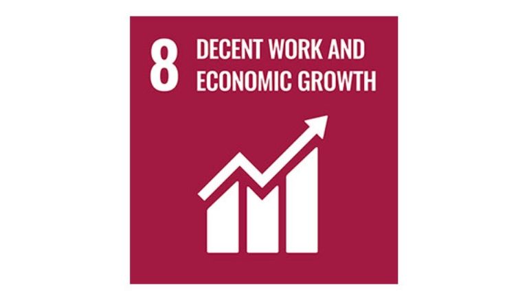 Goal 8: Decent work and economic growth