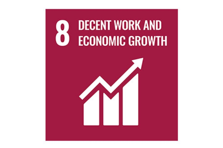 Goal 8: Decent work and economic growth