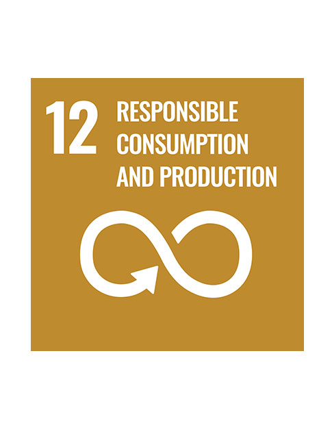 Goal 12: Responsible consumption and production