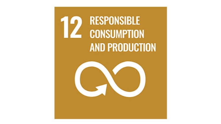 Goal 12: Responsible consumption and production