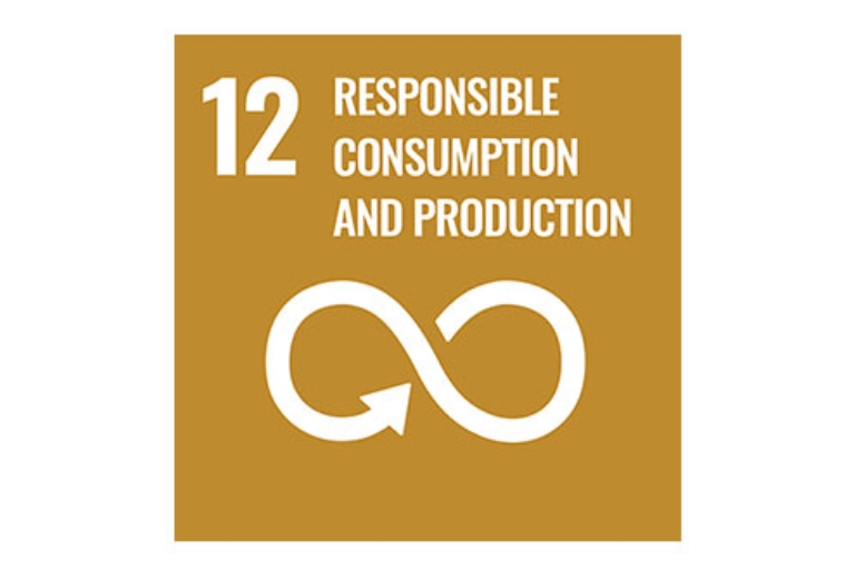 Goal 12: Responsible consumption and production
