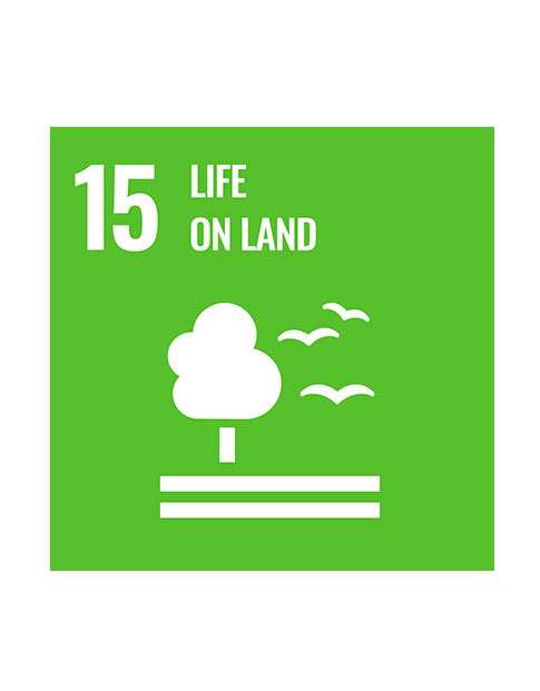 Goal 15: Life on land