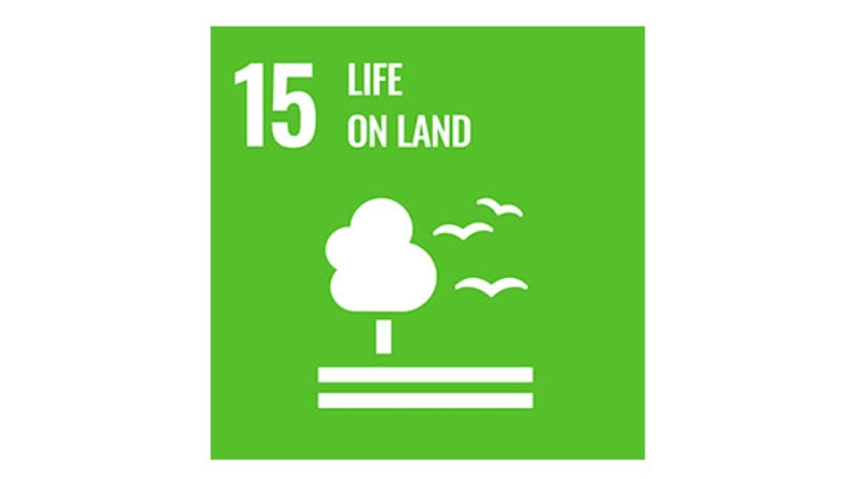 Goal 15: Life on land