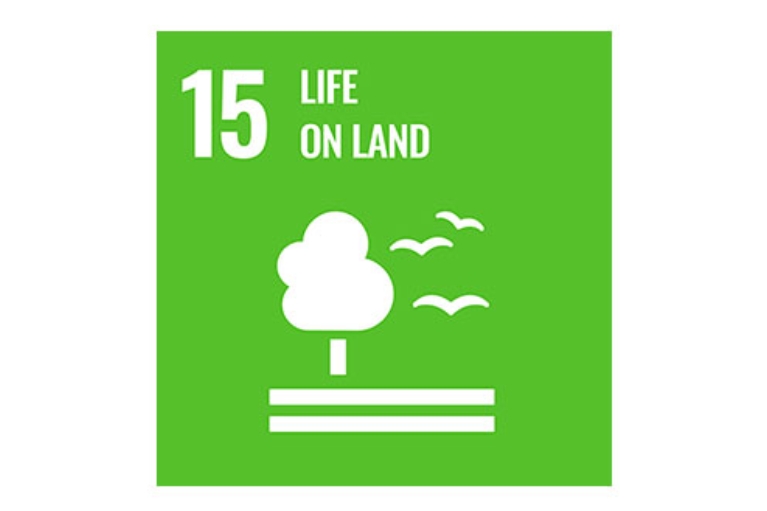 Goal 15: Life on land