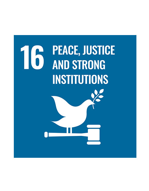 Goal 16: Peace, justice and strong institutions