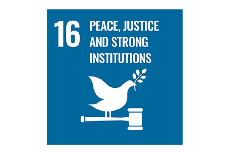 Goal 16: Peace, justice and strong institutions