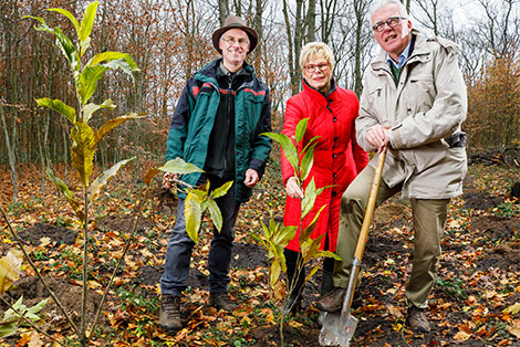 NRW.BANK Managing Board member Dietrich Suhlrie is involved in the German Forest Protection Association (Schutzgemeinschaft Deutscher Wald)