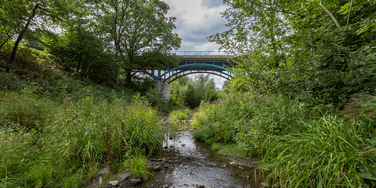 Brücke über den Borbecker Mühlenbach mit grünen Ufern rechts und links