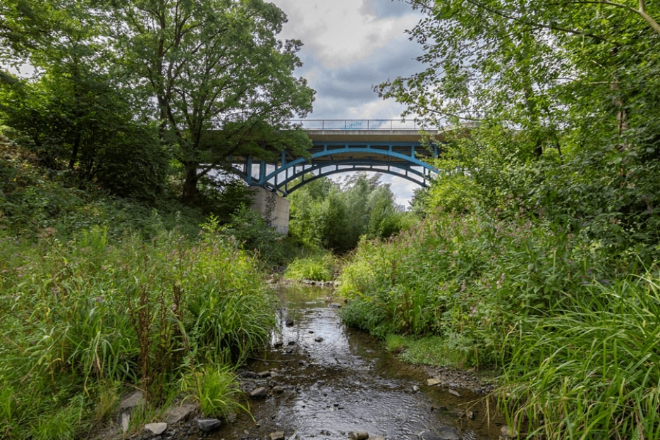 Brücke über den Borbecker Mühlenbach mit grünen Ufern rechts und links