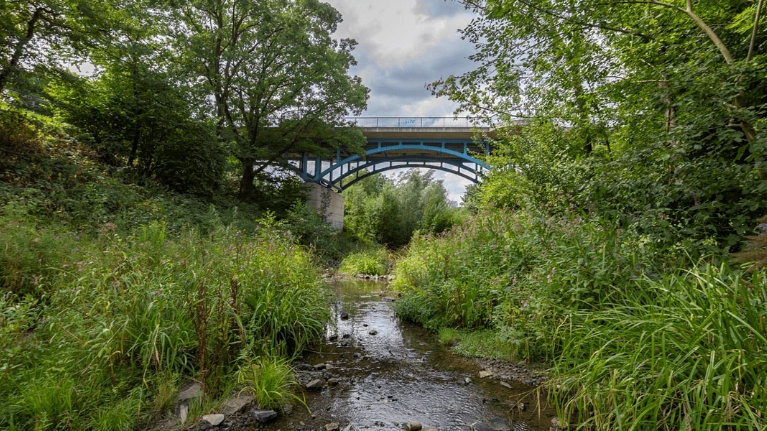 Brücke über den Borbecker Mühlenbach mit grünen Ufern rechts und links