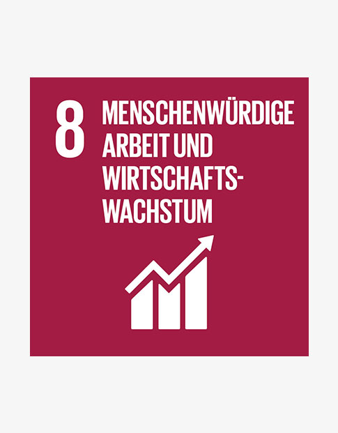 SDG-Ziel 8: Menschenwürdige Arbeit und Wirtschaftswachstum
