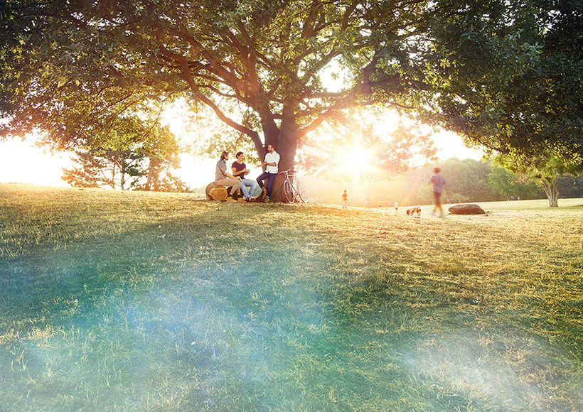 Drei junge Männer unterhalten sich an einem sonnigen Tag in einem Park unter einem großen Baum