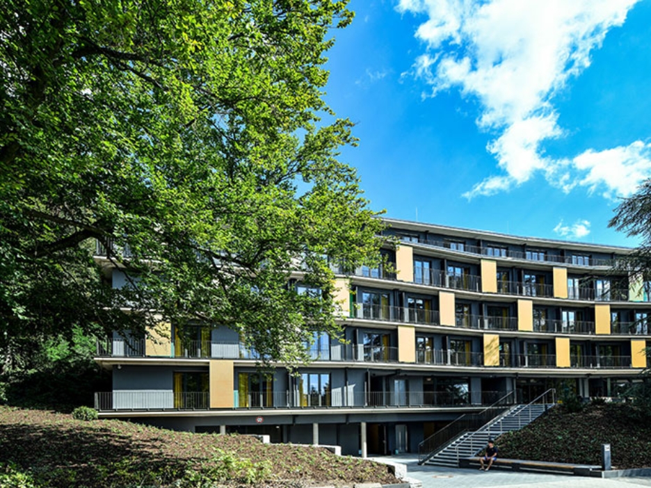 Ein moderner Wohnbau liegt zwischen hohen alten Bäumen, während sanftes Sonnenlicht die gelben Fassadenelemente und Balkone lebendig wirken lässt.
