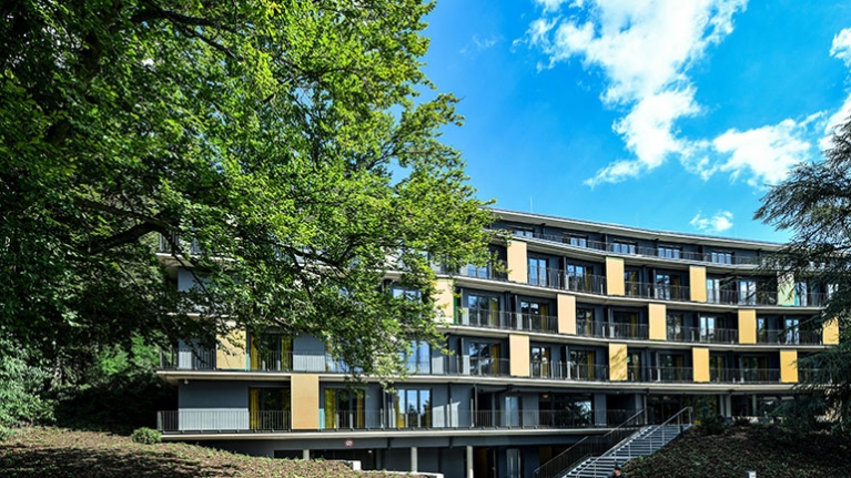 Ein moderner Wohnbau liegt zwischen hohen alten Bäumen, während sanftes Sonnenlicht die gelben Fassadenelemente und Balkone lebendig wirken lässt.
