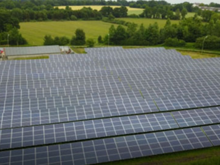 Großflächige Solaranlage auf einer Wiese. Im Hintergrund Felder und Bäume
