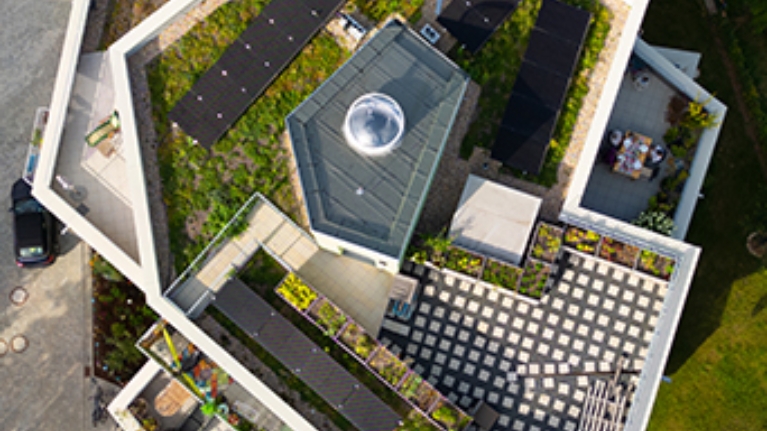 Begrüntes Dach mit Photovoltaikanlage aus der Vogelperspektive