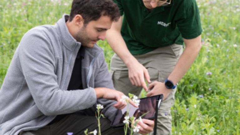 Die Analysedaten werden von einem Sensor direkt aus dem Ackerboden übermittelt.