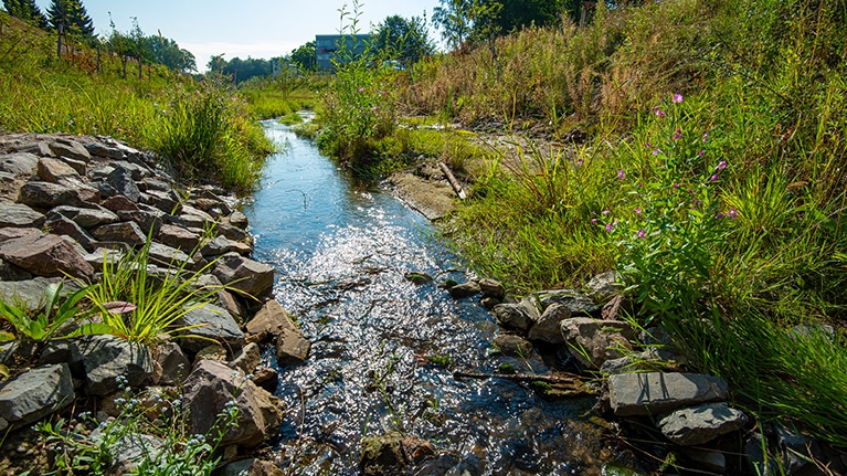 Ein kleiner Bachlauf mit glasklarem Wasser mit vielen Pflanzen und sonnigem Wetter