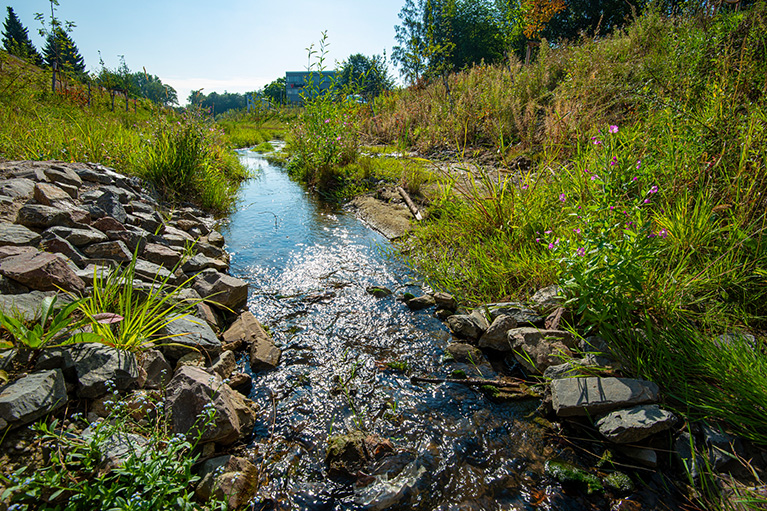 Ein kleiner Bachlauf mit glasklarem Wasser mit vielen Pflanzen und sonnigem Wetter
