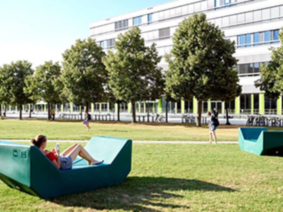 Wiese mit Bäumen und Studierenden, im Hintergrund ein Gebäude der Universität Bielefeld