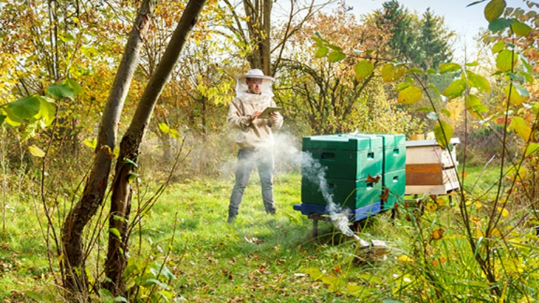 Imker mit Bienenstöcken