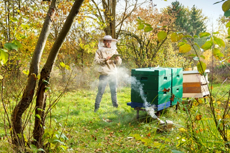 Imker mit Bienenstöcken