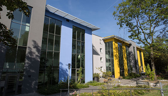 Die Häuserfront einer Reihenhaus-Anlage mit blauer, grauer und gelber Fassade und großen Fensterflächen