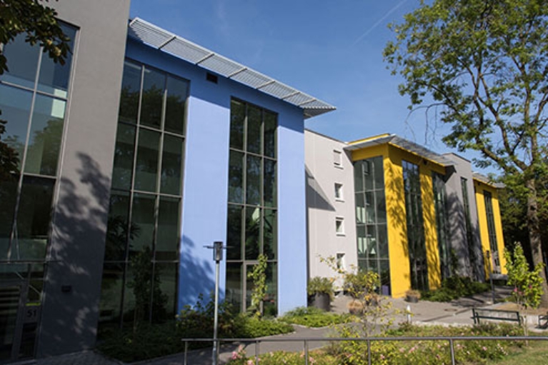 Die Häuserfront einer Reihenhaus-Anlage mit blauer, grauer und gelber Fassade und großen Fensterflächen