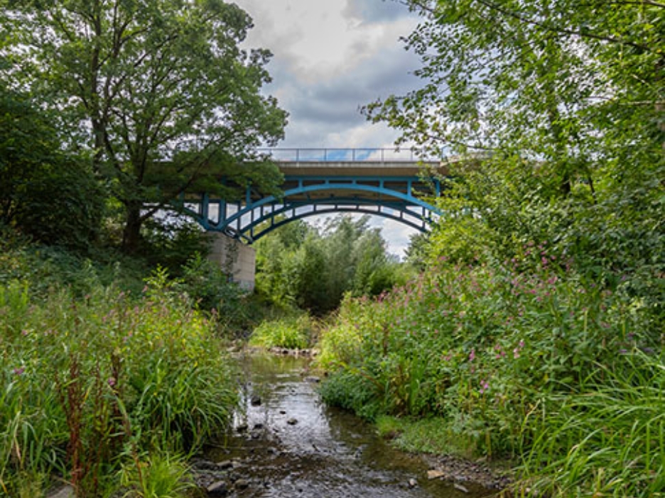 Brücke über den Borbecker Mühlenbach in Essen nach seiner Renaturierung. Grüne Ufer links und rechts