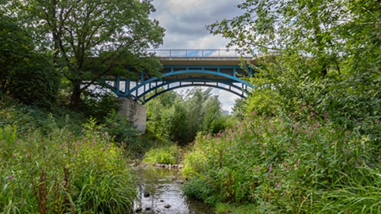 Brücke über den Borbecker Mühlenbach in Essen nach seiner Renaturierung. Grüne Ufer links und rechts