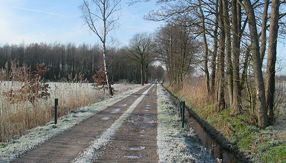 Ein Feldweg durch eine winterliche Landschaft mit Bäumen und Feldern