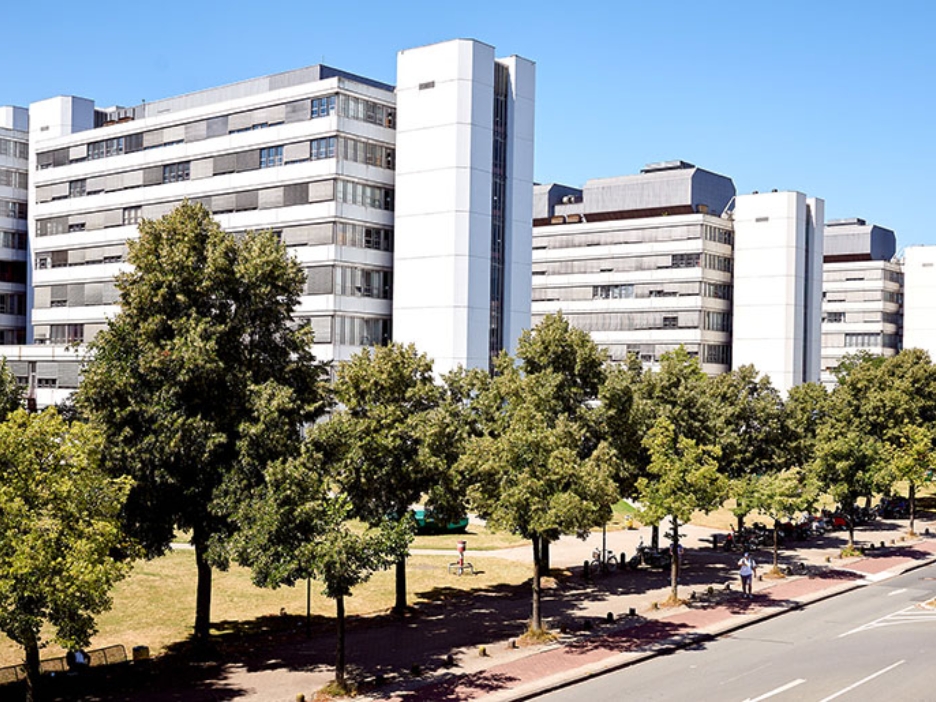Der Gebäudekomplex der Universität Bielefeld mit einer Straße und Bäumen im Vordergrund
