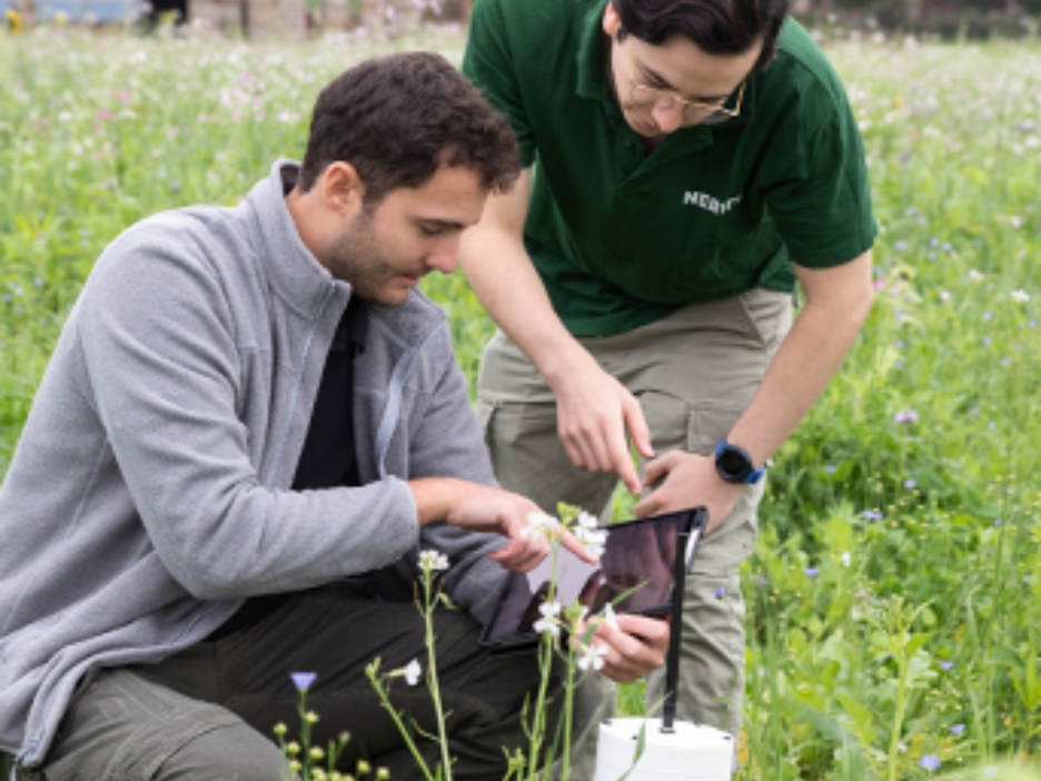Die Analysedaten werden von einem Sensor direkt aus dem Ackerboden übermittelt.